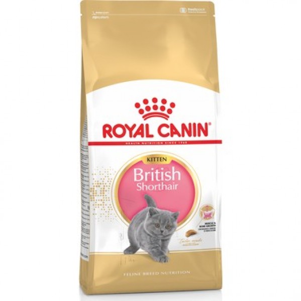 ROYAL CANİN BRİTİSH SHORTHAİR 2KG KİTTEN YAVRU KEDİ MAMASI